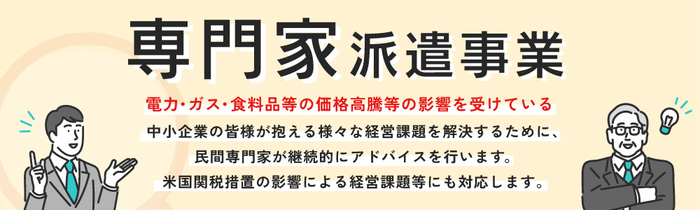 専門家派遣事業