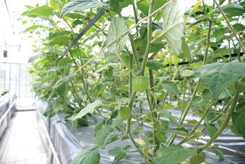 9cc49cc8df97349ca530463aec97f5ef