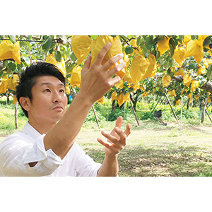 株式会社想樹 生のル レクチエ