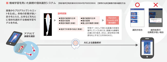 機械学習を用いた錦鯉の個体識別システム