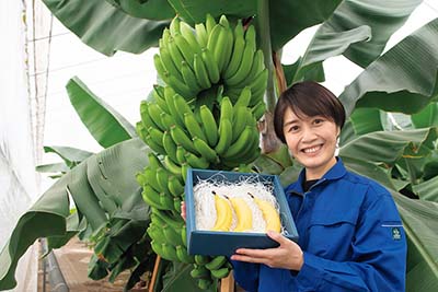 常務取締役 営業企画部 部長 霜田 真紀子 氏