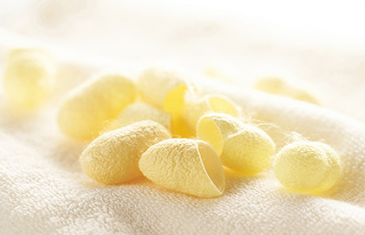 研究開発でたどり着いた「みどり繭」3