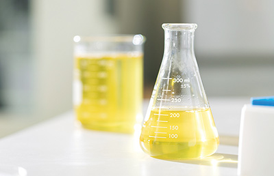 研究開発でたどり着いた「みどり繭」1