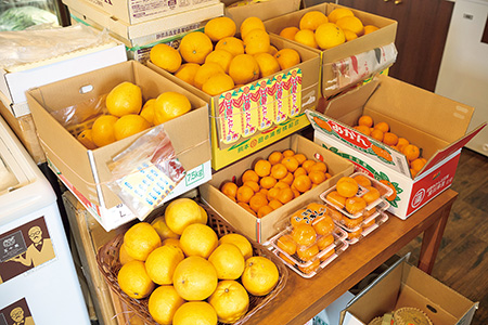 五十嵐本店の柑橘類