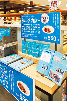 シャークカレー